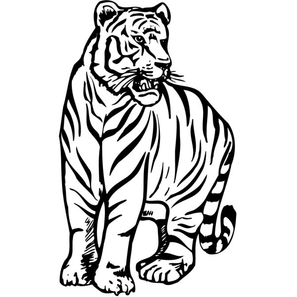 TIGER001 Thumbnail