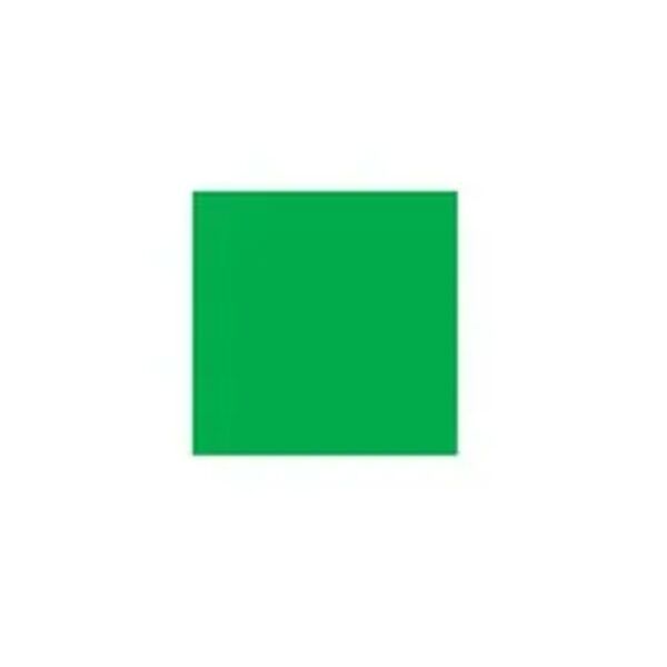 Blank 4" Square Paper Label, Fluorescent Green Thumbnail