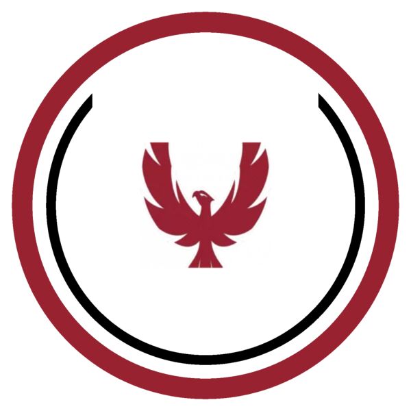 Sport Patch Bridges Academy Logo Thumbnail