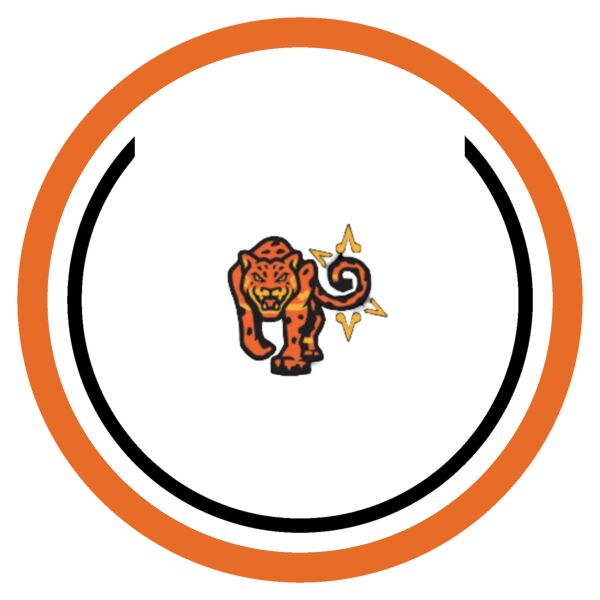 Sport Patch Del Sol Logo Thumbnail