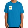 Youth Ultra Cotton ® 100% Cotton T Shirt Thumbnail