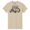 Heavy Cotton™ 100% Cotton T-Shirt Thumbnail