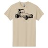 Heavy Cotton™ 100% Cotton T-Shirt Thumbnail