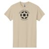 Heavy Cotton™ 100% Cotton T-Shirt Thumbnail