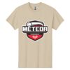 Heavy Cotton™ 100% Cotton T-Shirt Thumbnail