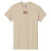 Heavy Cotton™ 100% Cotton T-Shirt Thumbnail