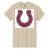 Heavy Cotton™ 100% Cotton T-Shirt Thumbnail