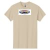 Heavy Cotton™ 100% Cotton T-Shirt Thumbnail