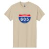 Heavy Cotton™ 100% Cotton T-Shirt Thumbnail