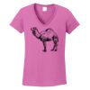 Ladies Heavy Cotton™ 100% Cotton V-Neck T-Shirt Thumbnail