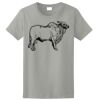 Ladies Ultra Cotton ® 100% Cotton T Shirt Thumbnail