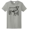 Ladies Ultra Cotton ® 100% Cotton T Shirt Thumbnail