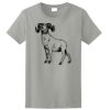 Ladies Ultra Cotton ® 100% Cotton T Shirt Thumbnail