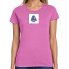 Ladies Heavy Cotton™ 100% Cotton T Shirt Thumbnail